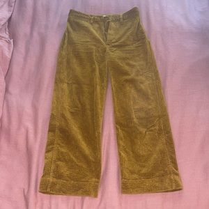 Women’s cortoroise